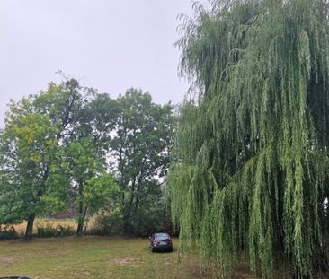 Rydułtowy, Krzyżkowicka Mieszkanie na wynajem - Zdjęcie 3