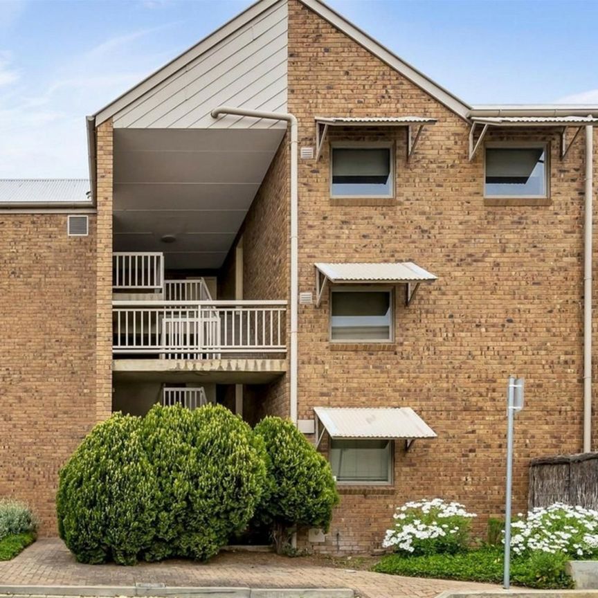 Spacious Ground Floor Unit - Photo 1