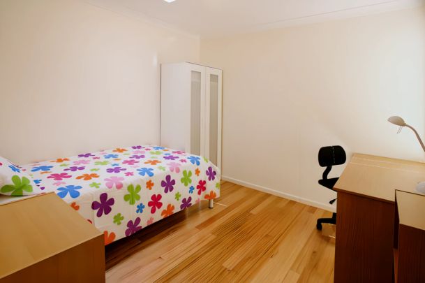 SH1 Small/Medium - Photo 1