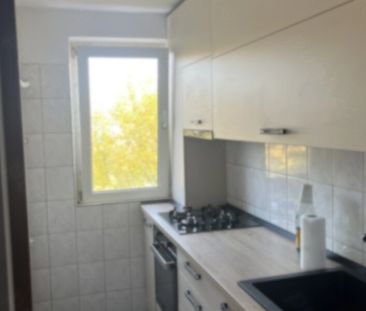 Drumul Taberei, Romancierilor, Bd. Timisoara, Valea Boteni, renovat - Photo 4