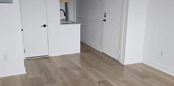 1 CH - 1 SDB - Montréal - $1,190 /mo - Photo 3