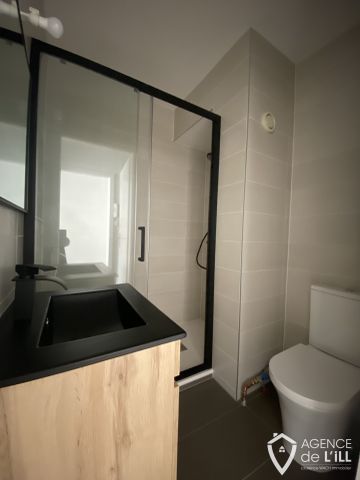 Location Appartement 2 pièces 33m² CHATENOIS 67730 - Photo 3