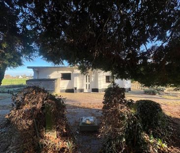 Gezellige vrijstaande woning met 1 slaapkamer en zeer grote tuin me... - Foto 1