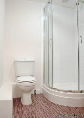 1 bedroom property to rent in Worthing - Photo 5