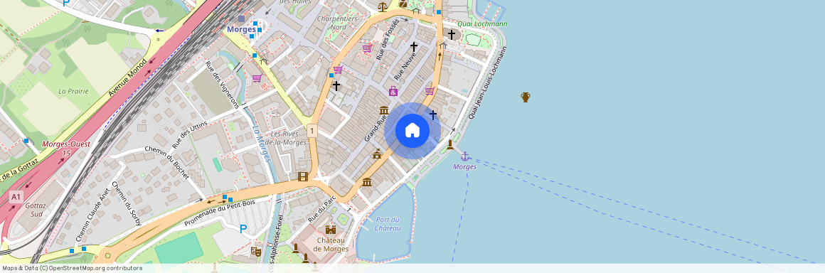1110, Morges, Rue Louis-de-Savoie, 43