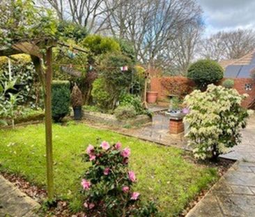 2 bedroom bungalow to rent - Photo 3