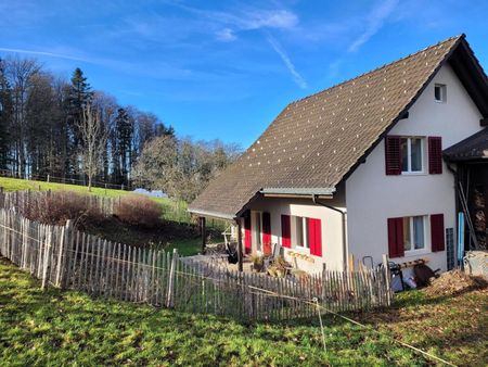 UNIQUEMENT POUR UNE PERSONNE SEULE EN FORCH (ZH), MEUBLÉ, TEMPORAIRE - Photo 4