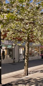 Norströms väg 1 - Foto 4