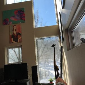 Grand, Mezzanine et Toit-Terrasse Morin Heights - Photo 2