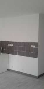 Location Appartement 2 pièces 51m² ANNONAY 07100 - Photo 3