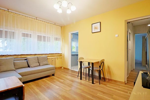 2 pokoje, ul. Teodora, Łódź-Widzew - Photo 1