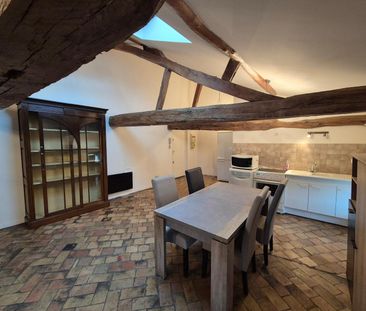 Location Appartement 1 pièce 53m² MACON 71000 - Photo 2