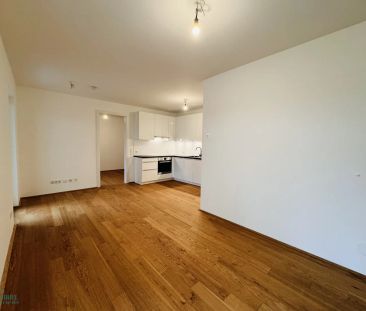 RUHIGE UND HELLE GARTENWOHNUNG IN ZENTRALER LAGE VON SIEVERING - Photo 1