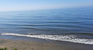 Ref. 50818 Se alquila local en pleno centro!! - Photo 3