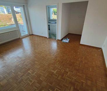 2 Zimmer, 41 m², EG - Foto 1