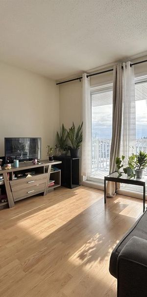 Antoine-du Verdier Appartement 4 ½ à Louer Sainte-Foy / Sillery Novembre 2026 - Photo 1