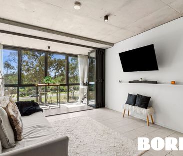 216/17 The Causeway Kingston ACT - Photo 4