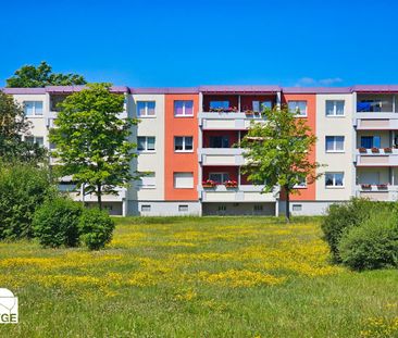 Frisch saniert ins Erdgeschoss! - Photo 5