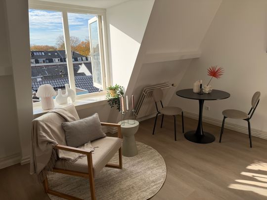 Gemeubileerde studio te huur nabij Wilhelminapark - Foto 1