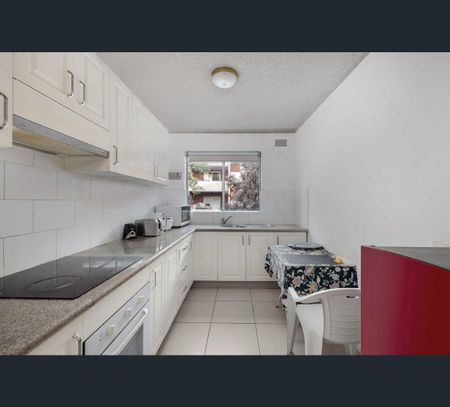32 Early Street, Parramatta, NSW 2150 - Photo 4