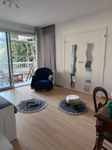 Appartement Toulouse 1 pièce(s) 33 m2, - Photo 4