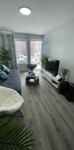 4 1/2 Rosemont - Parc Maisonneuve - Photo 1