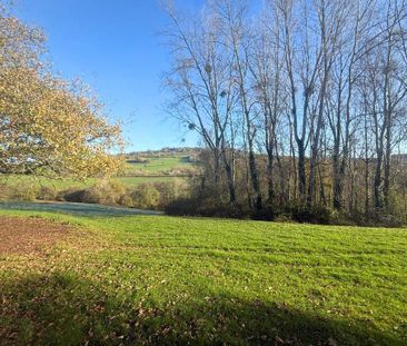 2 bedroom cottage to rent - Photo 6