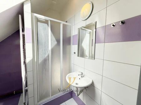 Pronájem bytu 1+kk 35 m - Fotografie 5