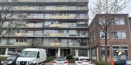 Appartement te huur in Hoboken voor € 860 met 2 slaapkamers - Foto 3