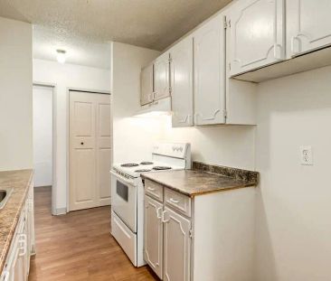 - 1 Bedroom at Sutherland Manor - Photo 3