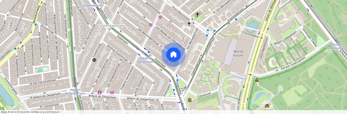 Statenkwartier, 2582 KH, Van Beuningenstraat, Den Haag