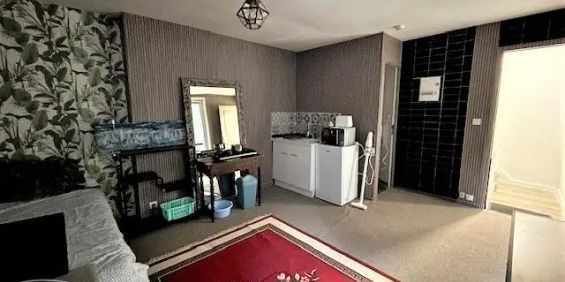 Appartement à louer 1 pièce 18.73m² - Photo 3