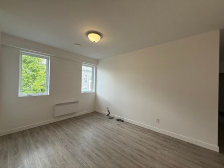 Appartement à louer - Thetford Mines (Thetford Mines) - Photo 3