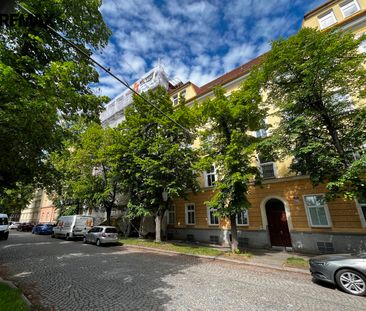 Pronájem bytu 1+kk v osobním vlastnictví 37 m², Plzeň - Photo 1