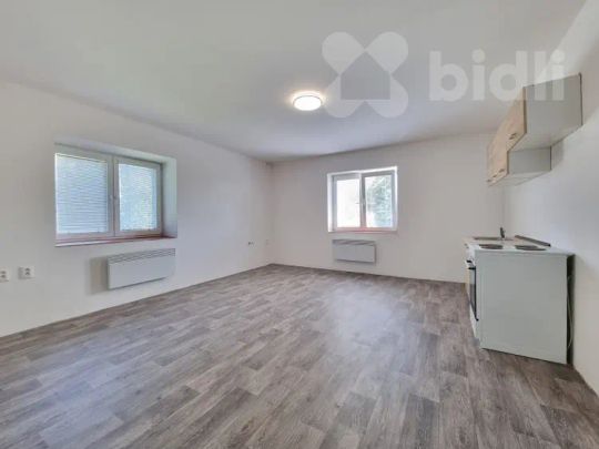 Pronájem cihlového bytu 1+kk v Prosenicích. - Fotografie 1