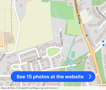 Tovey Green - Photo 1