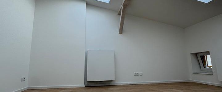 Erstbezug: Neubau-Dachgeschosswohnung – ökologisch & stilvoll 72,66 qm - Foto 1