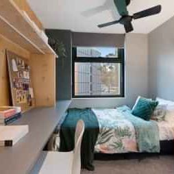 Studio Room - Photo 1