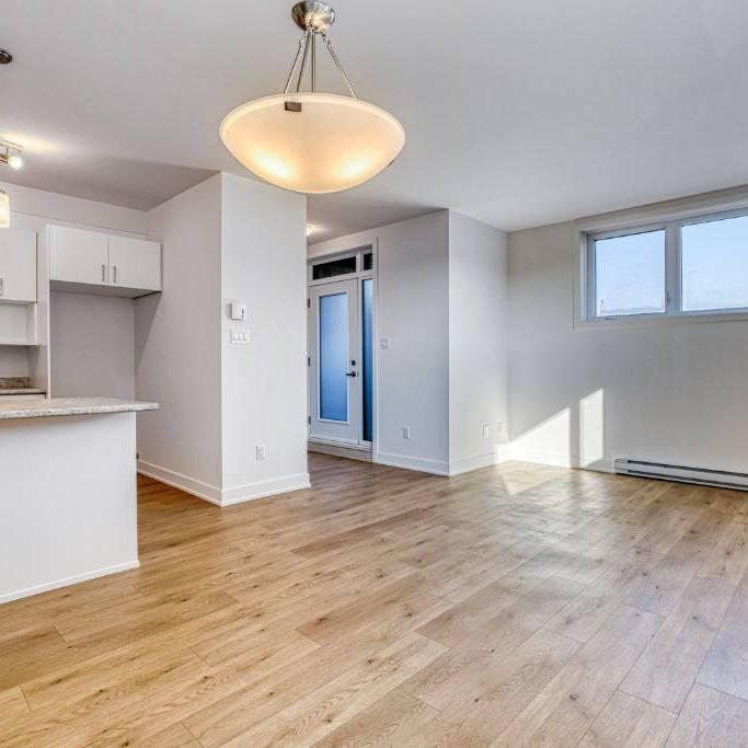 Charmant appartement d'une chambre au sous-sol | Emplacement idéal pour les navetteurs - 410, rue Des Becs-Scie, app. 2, Gatineau (Masson-Angers), QC - Photo 1