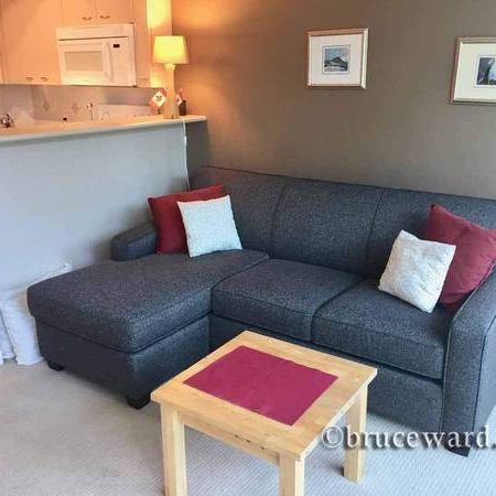 File 175- STUDIO- 1367 Alberni Street- FURNISHED - Photo 1