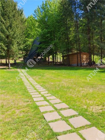 Casa tip A Frame de inchiriat in Avrig zona Valea Avrigului - Fotografie 5