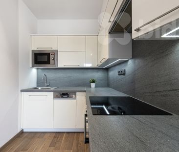 Pronájem bytu 1+kk (30 m²) s lodžií v Přezleticích - Photo 2