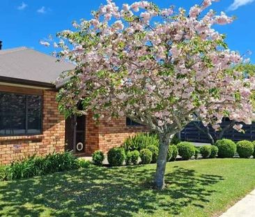 4-Bedroom Home in Central Cambridge – Walk to Town! - Photo 5