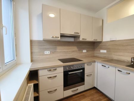Gemütliche Mietwohnung im Zentrum ab sofort zu Mieten! - Foto 4