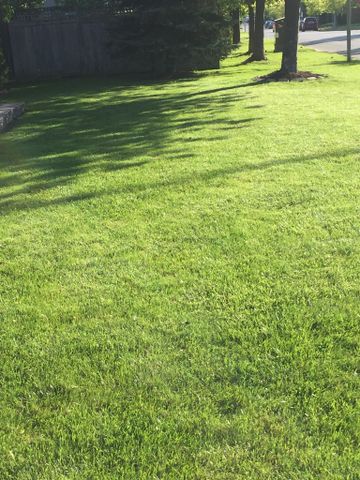 For Lease - 5959 Foxbridge Place Unit# Room #A, Mississauga, Ontario - Photo 4