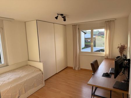 3-ROOM APARTMENT IN DIETWIL (AG), FURNISHED, TEMPORARY - Photo 4