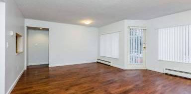 HUGE 1BR AVAILABLE OCTOBER 1ST(FALSE CREEK ) - Photo 2