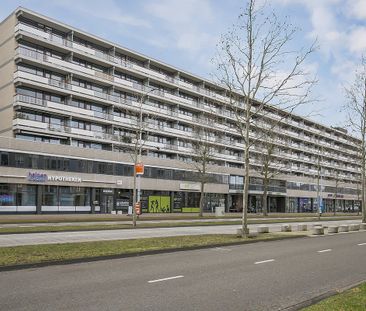 Bomanshof, Eindhoven, Nederland - Photo 6