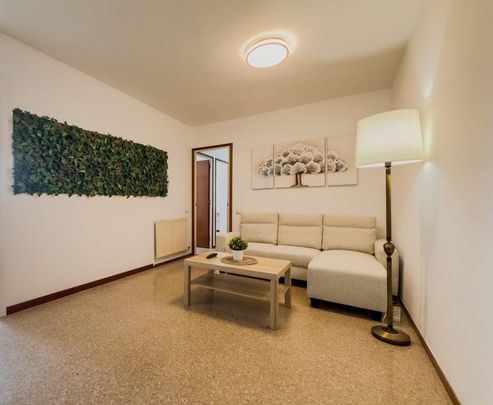 Carrer de Fructuós Gelabert, Sant Joan Despí, Catalonia 08970 - Photo 1