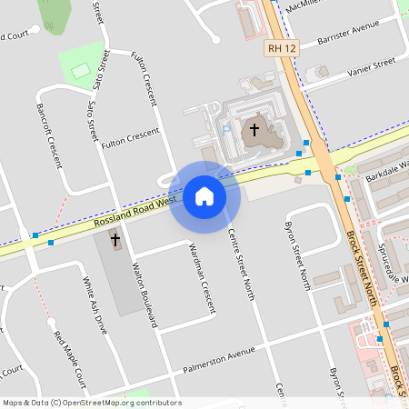 303 Rossland Road Unit# Basement, Whitby